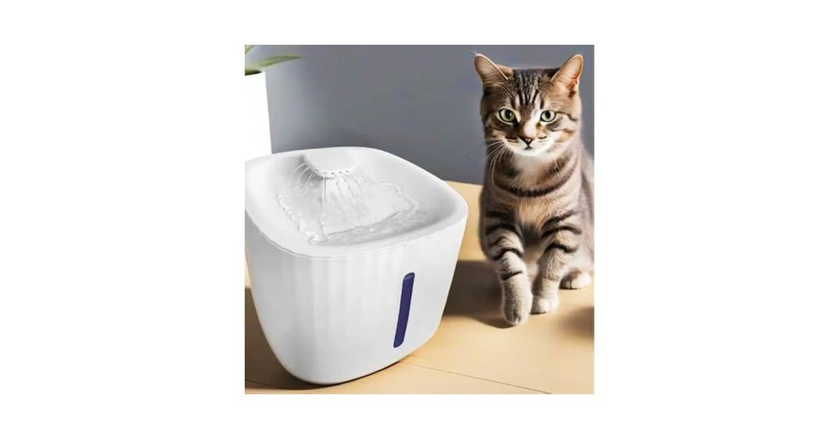 Qual a Melhor Fonte de Água para Gato: 10 Opções Eficientes