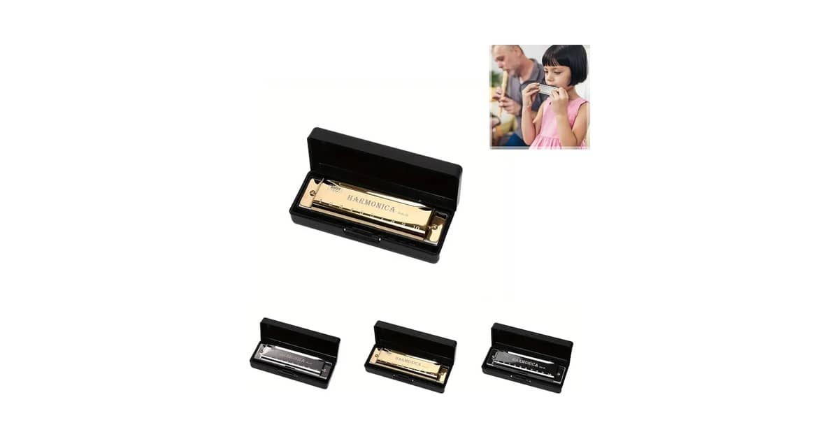 Qual a Melhor Gaita Ponto para iniciantes: Guia Completo