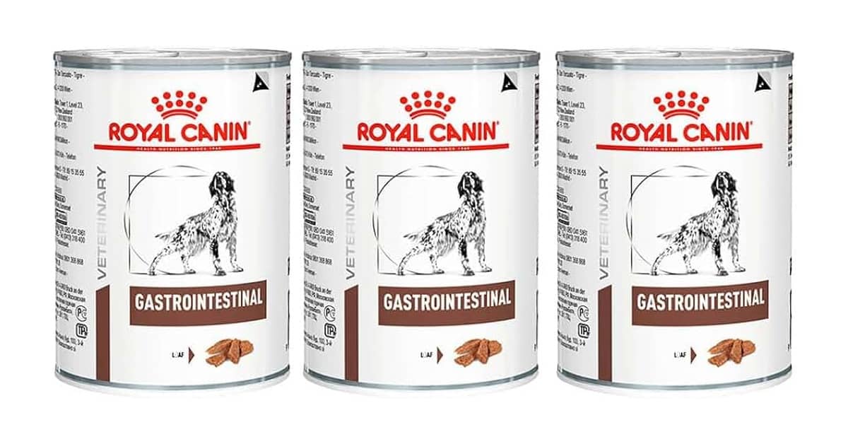 Qual a Melhor Marca de Ração para Cachorro Vira Lata: Guia Completo