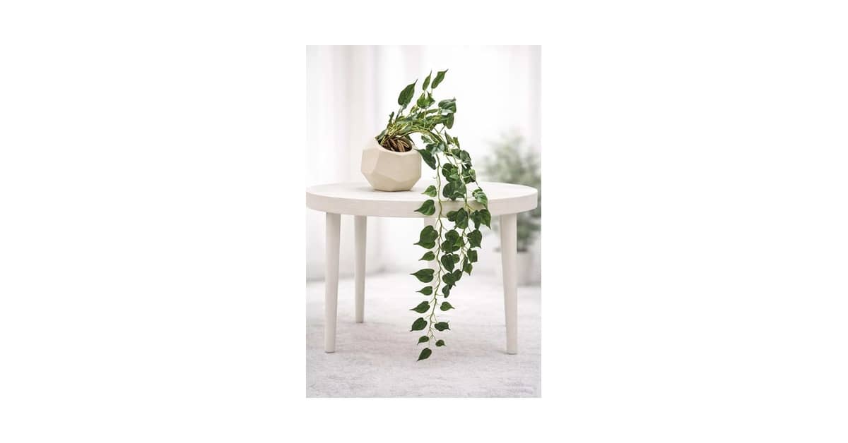 Qual a Melhor Planta para Mesa de Escritório: Beleza e Praticidade