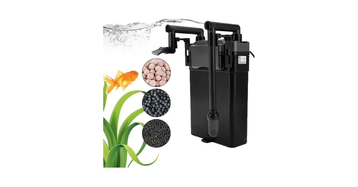 Qual Melhor Filtro para Aquário Interno ou Externo: Guia Definitivo