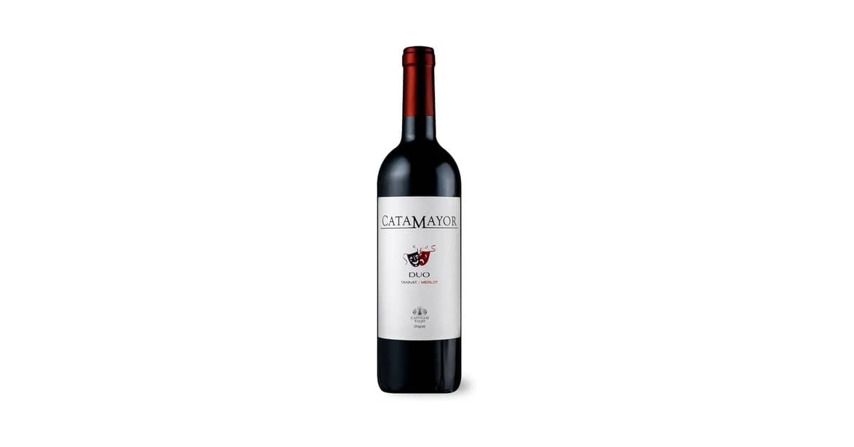 Qual Melhor Vinho Tannat ou Merlot: Sabores e Aromas Distintos