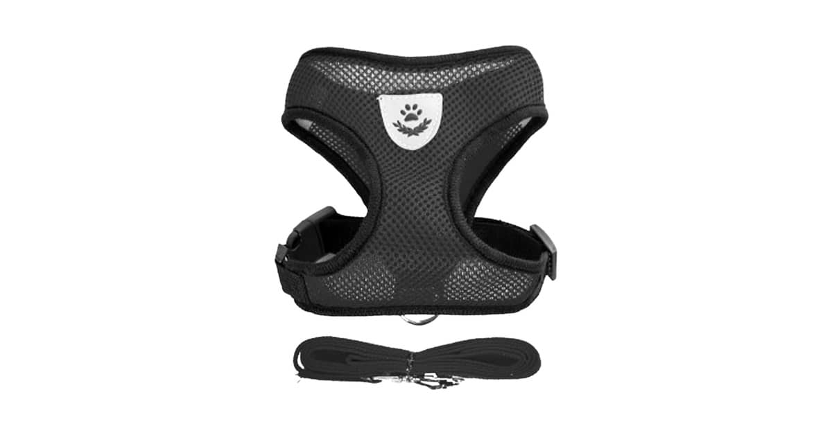 Qual o Melhor Peitoral Anti-Puxão: 10 Modelos Eficazes