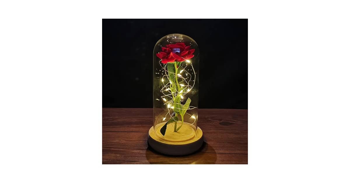 Qual o Melhor Presente para dar para Esposa de Aniversário: Rosa Eterna ou Joia?