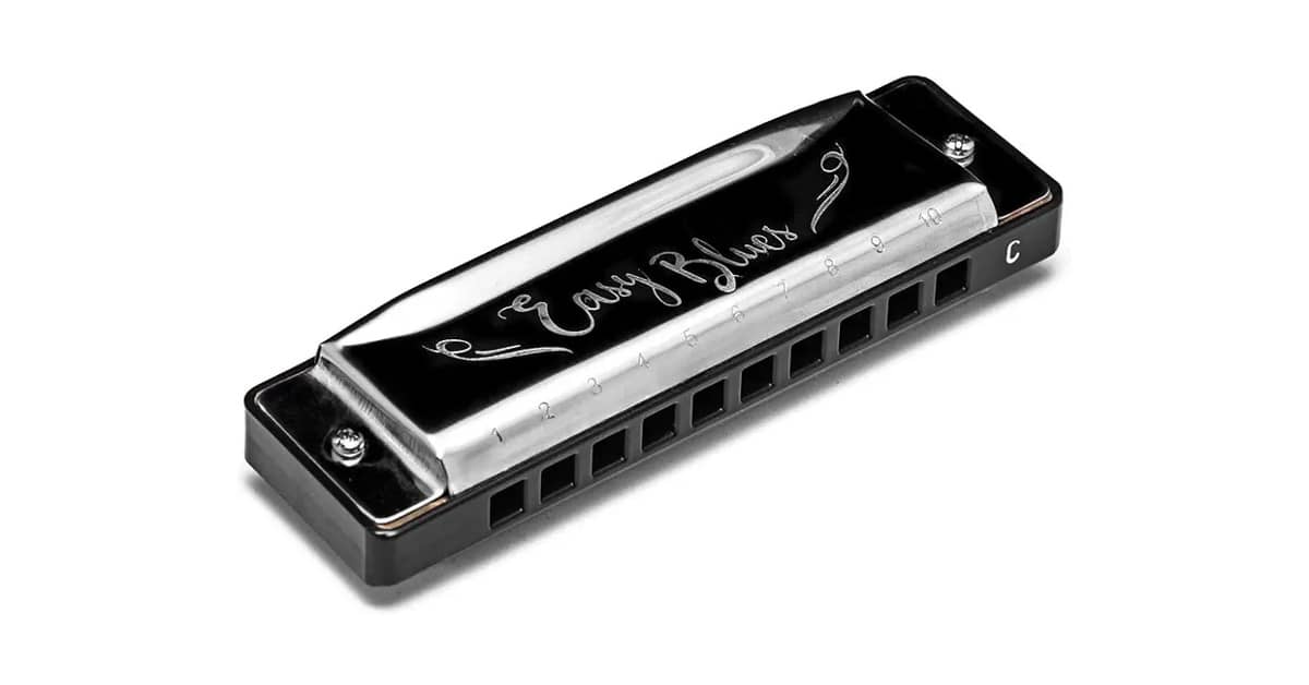 Qual o Melhor Tipo de Gaita para iniciante: Guia Essencial!