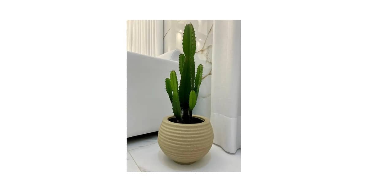 Qual o Melhor Vaso para Colocar Zamioculca: Durabilidade e Estilo