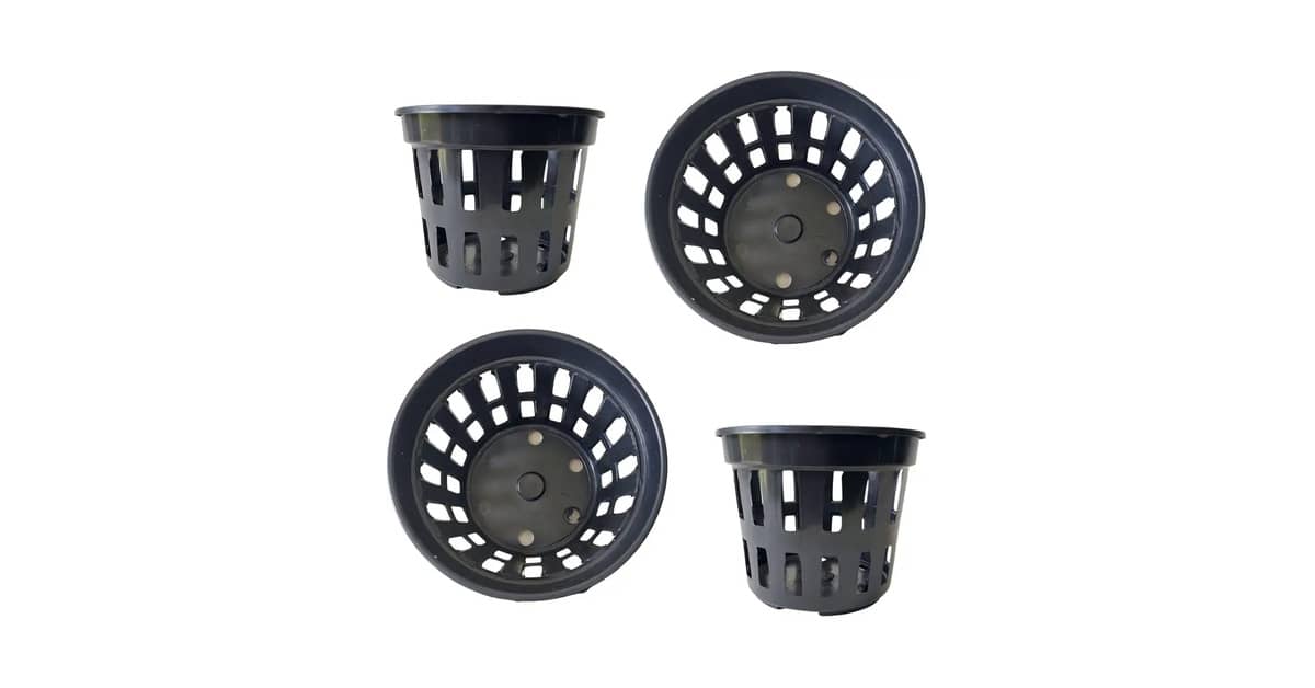 Qual o Melhor Vaso para se Plantar Zamioculca: Guia Prático