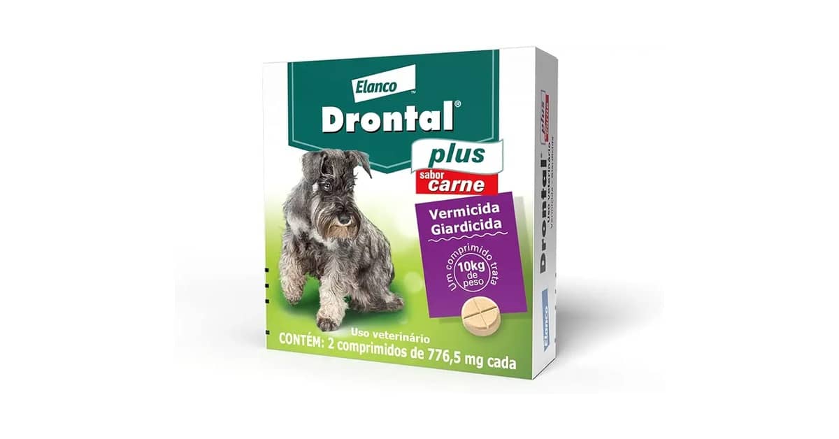 Qual o Melhor Vermífugo para Cão Adulto: Guia Completo