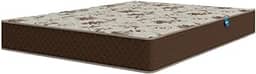 Colchão Casal Espuma D33 Marquês 138x188x19cm Marrom Umaflex - Suporta até 90kg por Pessoa