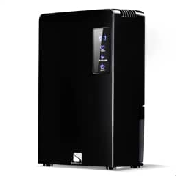 Desumidificador Elétrico Portátil Bivolt Antimofo 2200ml (Preto)