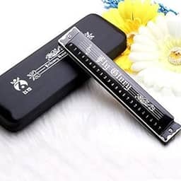 Melhor Harmônica C Key 24 Furos Principais Diatônicos Duplo Tremolo Gaita Iniciante para Venda Acessórios para Instrumentos Musicais Preto com Estojo