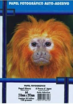 Papel Fotográfico A4 130g Auto Adesivo Brilhante 50 Folhas