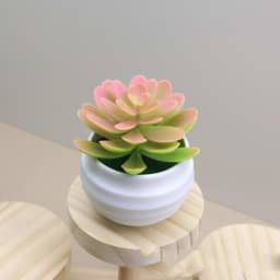 Plantas suculentas artificiais em vasos, pequenas plantas falsas para quarto, estética, sala de estar, escritório, prateleira, decoração de banheiro (rosa)