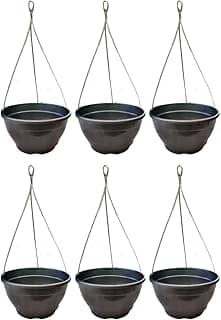 Kit 6 Vaso/cuia Suspenso Para Samambaia e Planta Pendente + Cabo De Aço