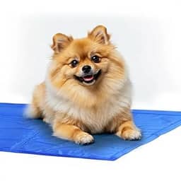Tapete Gelado Refrescante Para Cães e Gatos Gel Refrescante Ativado por Peso Conforto Térmico Para Dias Quentes (Porte Mini 30x40)