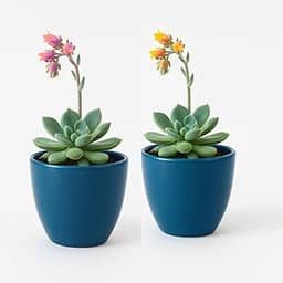Kit 2 Cachepots de Porcelana com Furo – Vaso Pequeno para Plantas, Suculentas, Decoração Moderna (Azul)