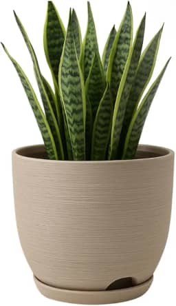 Vaso Polietileno Cor Bege Para Plantas Jardim Sala Luxo escovado bojo pequeno Com Prato