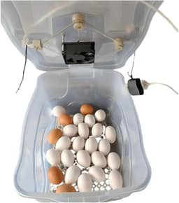 Chocadeira Pet Para 30 Ovos De Galinha ou 90 De Codorna Com Termostato Resistência E Cooler