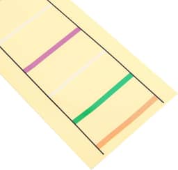 Adesivo de Posição de Violoncelo para Iniciantes - Simplifique o Processo de Aprendizado - Adequado para Diferentes Casacogramas (3/4)