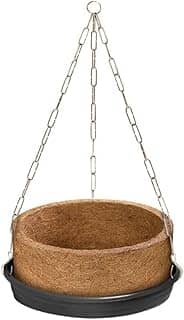 Vaso Natural Xaxim de Fibra de Coco Com Suporte Suspenso Completo Grande 05 Para Samambaia