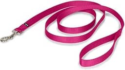 PetSafe Coleira de nylon para cães – forte, durável, coleira de estilo tradicional com encaixe de parafuso fácil de usar – 9,5 cm x 10,2 cm, framboesa