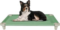 Cama Pet, Cama para Cachorros, Confortável e Higiênica, Manta Cor Verde e Pés Cor Gelo, Acrimet