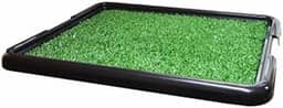 Sanitário para Cachorros, Limpeza e Higiene, Sanitário Canino Higiênico, Toalete com Grama
