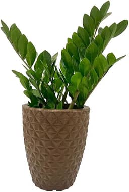 VASO POLIETILENO COLUNA BERLIAN GOLD 3D DECORATIVO P/PLANTAS/JARDINS/ESCRITÓRIOS (MARROM)