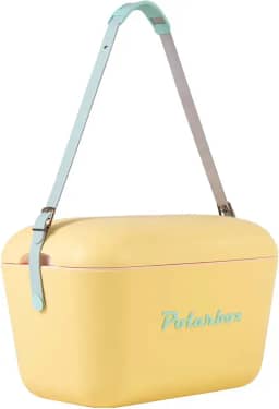 Geladeira portátil, caixa térmica, frigorífico para praia, campismo e piquenique (20 l, amarelo)
