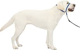 PetSafe Coleira de cabeça para cães Gentle Leader - A melhor solução para puxar - Redireciona o puxão do seu cão para caminhadas mais fáceis - Ajuda você a recuperar o controle - Grande, azul royal