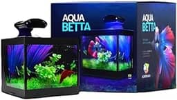 Aquário Betteira com Iluminação LED Bivolt e Decoração Aquabetta 17x15x15cm