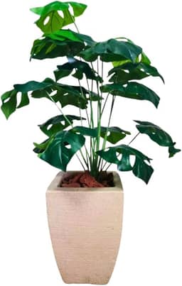 Planta Costela De Adão Artificial Grande + Vaso Quadrado Bege Premium