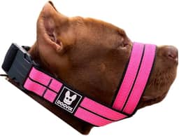 Focinheira Pet Para Cães De Porte Medio Grande Fácil De Usar Confortável Segura (P)