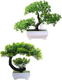 Kit 2 Bonsais Artificiais Realista Decorativos, Modelos Nuvem e Dragão, 26x9cm, Vaso Branco. Planta Artificial. MIni Árvore Japonês