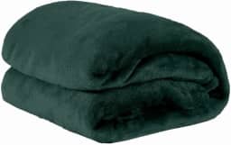 Cobertor Manta Microfibra Solteiro 01 Peça (Toque Aveludado) - Verde