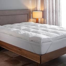 Buddemeyer Pillow Top King Vision Fill Gold 100% Algodão Acetinado Branco
