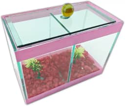 Aquário Beteira Dupla Decorado 17x9x13 1,9L 2 Peixes Betas (Rosa)