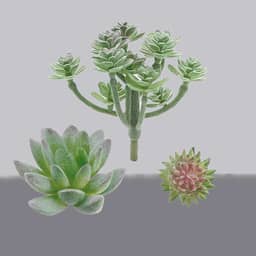 Conjunto de 3 plantas artificiais para decoração de mesa de escritório em casa, mesa de casamento, mesa de centro de mesa (combinação verde de suculentas)