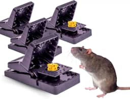 Kit 3 Ratoeira Boca De Jacaré Captura De Ratos Reutilizável Domésticos