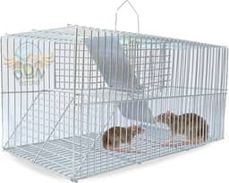 Gaiola Ratoeira Armadilha Pegar Capturar Rato Pequeno Camundongo Soltura Lateral