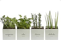 Kit 4x Vasos Autoirrigáveis Minha Horta Branco Cinza Creme Rosa Salmão Jardim Hortaliças Manjericão Salsa Alecrim Cebolinha (Cinza)