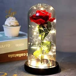 SMATOLS A Bela e a Fera Rosa em vidro, presente de rosa artificial vermelha, dura para sempre em uma cúpula de vidro, presentes exclusivos para mulheres, Natal, casamento, dia dos namorados,