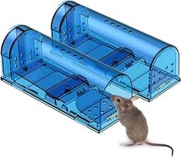Armadilha humana para mouse | captura e solte ratoeiras que funcionam | Armadilha para ratos sem matar para ratos/roedores seguro para animais de estimação (Cão/Gato) Melhor gaiola de captura pequena