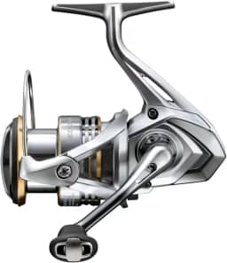 Shimano Carretel giratório Sedona 23 500 - C5000XG