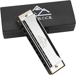 EastRock Blues Harmonica boca órgão harpa 10 furos chave C com capa, gaita diatônica para iniciantes, jogadores profissionais, presentes para estudantes, adultos, amigos, presente prata