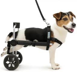 Cadeira de Rodas para Cachorro Tamanho P Pequeno Pet Best Soluções BasicLine