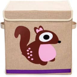 Caixa Organizadora Infantil Com Tampa estampa:esquilo