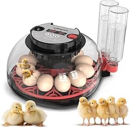 YinRazer Chocadeira Para 12 Ovos, Viradora Automática Com Controle De Temperatura E Umidade, Chocadeira, Alarme Baixo, Frango, Pato, Peru, Ganso