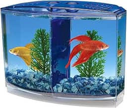 Penn-Plax Kit Penn Plax Twin Beta Bow-Front Para Aquarium Blue Green Tank Tem 19 Cm Na Frente 15 Cm Na Parte De Trás