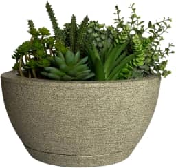 Vaso Bacia Cuia P/plantas Decorativa Luxo Terrário Jardim C/prato (Cinza)